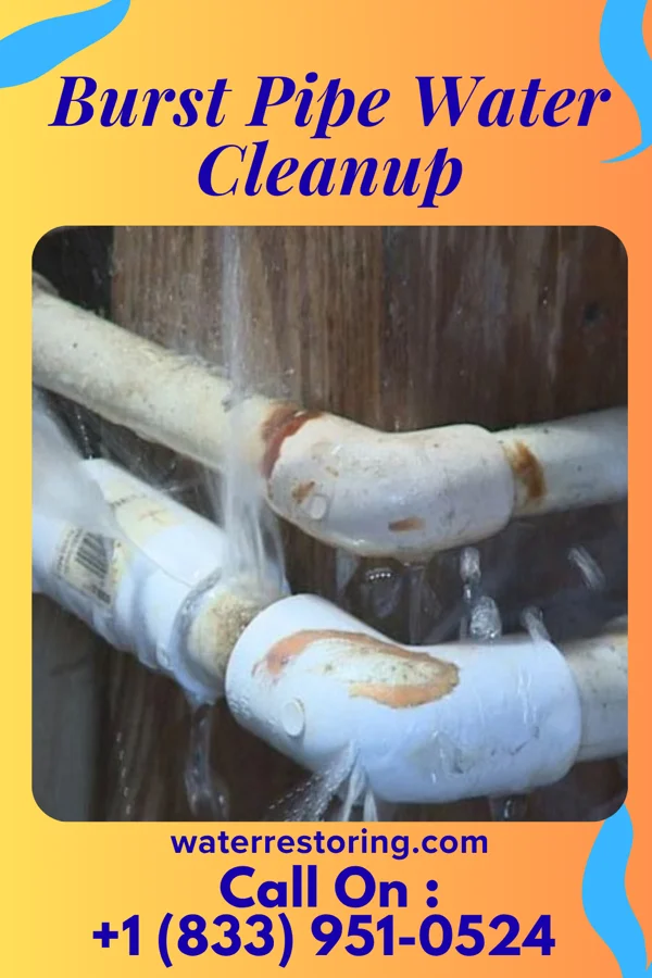 Burst Pipe Water Cleanup in Harcourt, IA